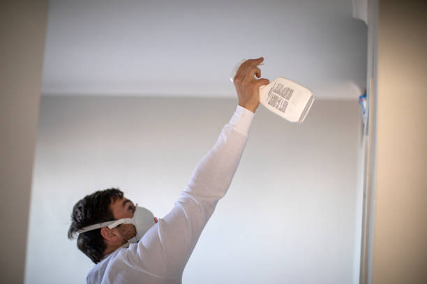 Best Mold Testing and Removal  in Wilmington Island, GA