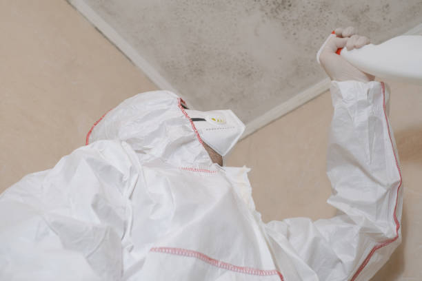 Office Mold Removal Services in Wilmington Island, GA