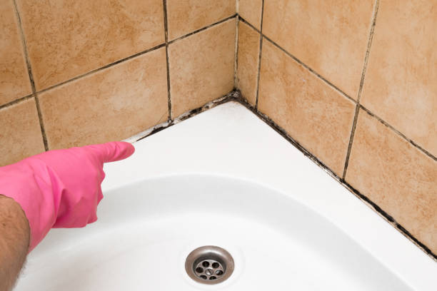 Best Crawl Space Mold Removal  in Wilmington Island, GA